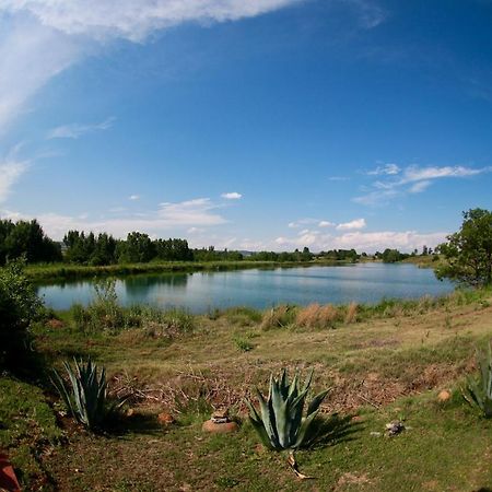 Wonderland Villa Winterton Bagian luar foto